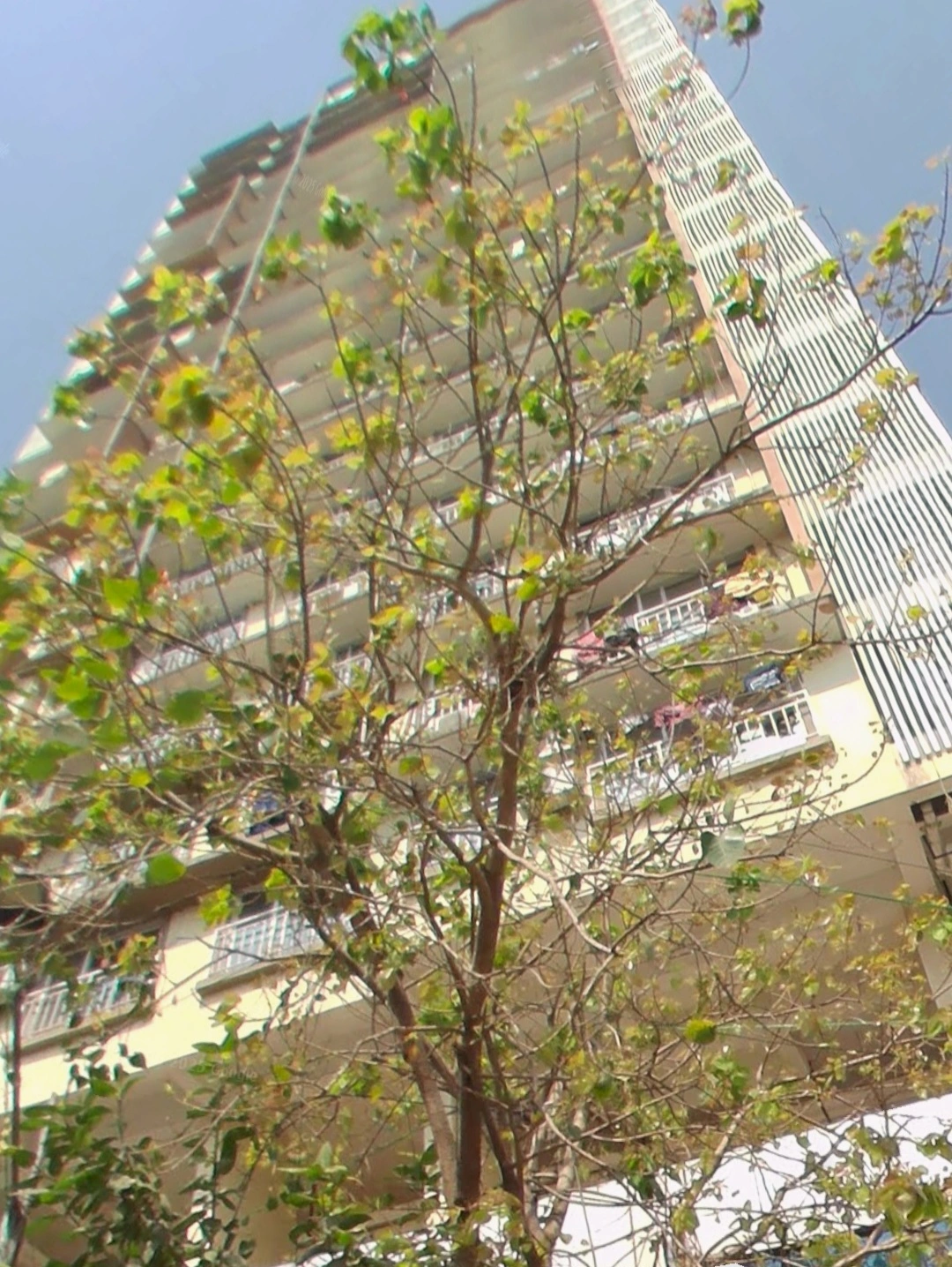 1 BHK Flat for Rent in Malad East