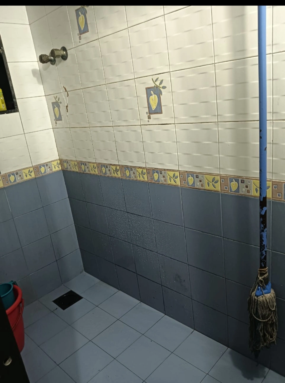 1 BHK Flat for Rent in Pandurangwadi Society, Goregaon East