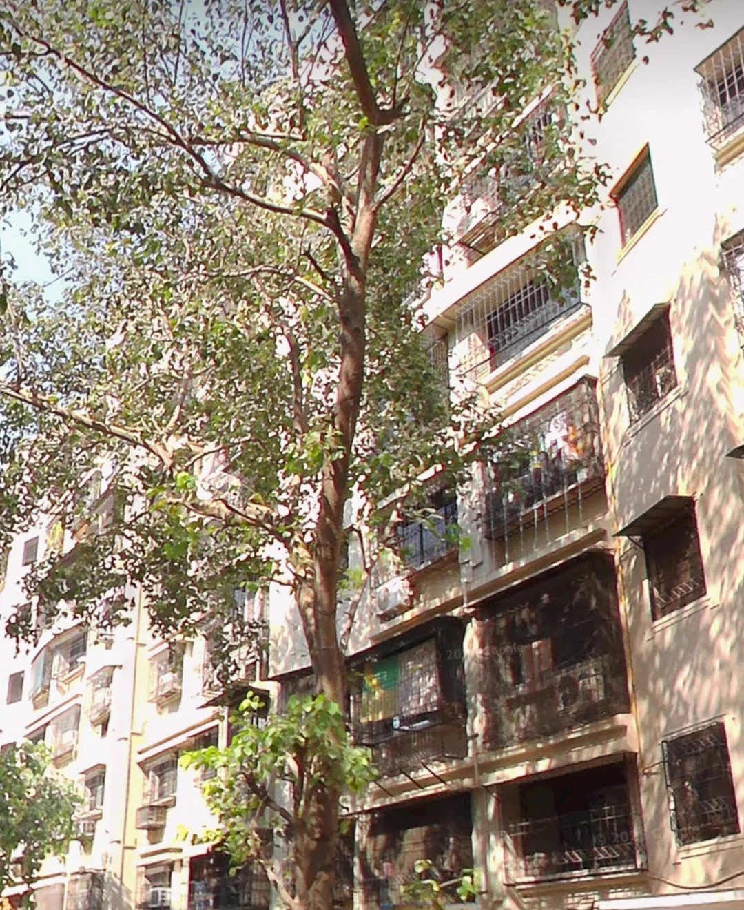 1 BHK Flat for Rent in Shiv Guari Complex , Malad West