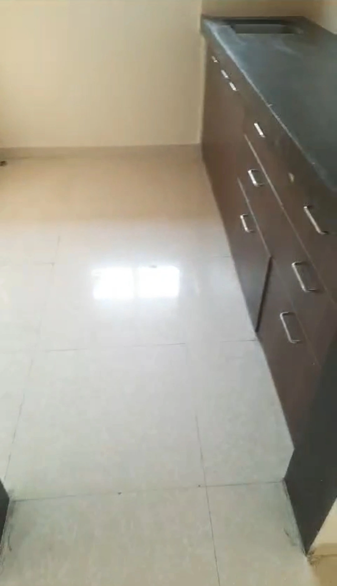 1 BHK Flat for Rent in Vini Vista (Rahul Tower), Goregaon West