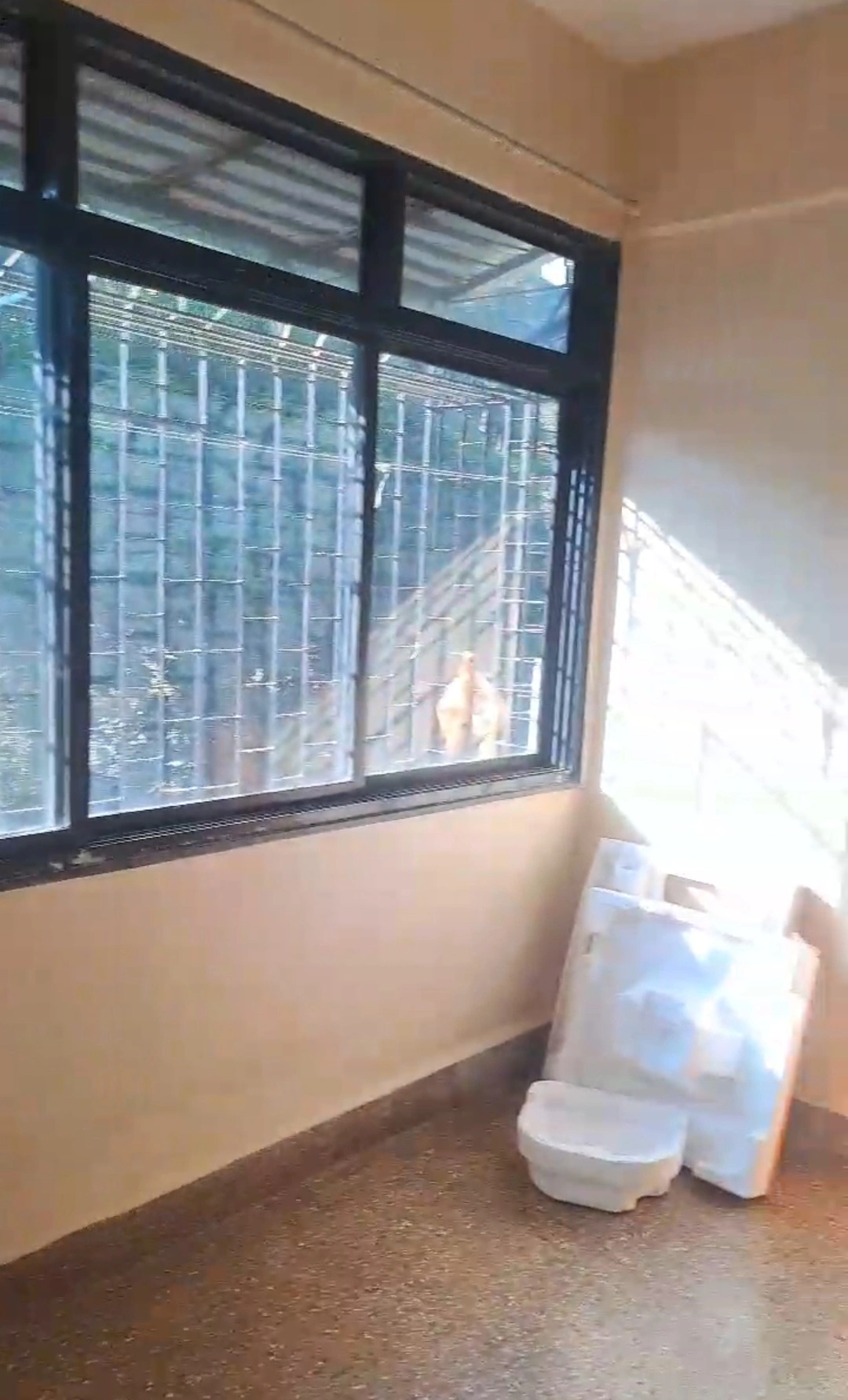 1 BHK Flat for Rent in Building No1, Goregaon West