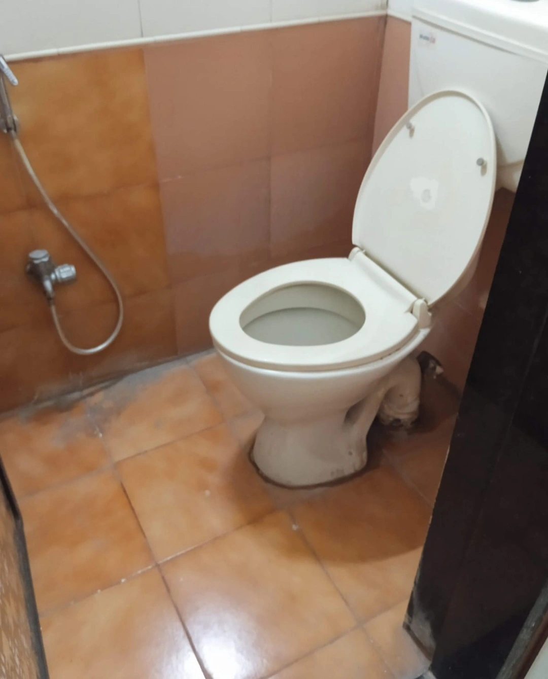 1 BHK Flat for Rent in Satellite Garden 2, Goregaon East
