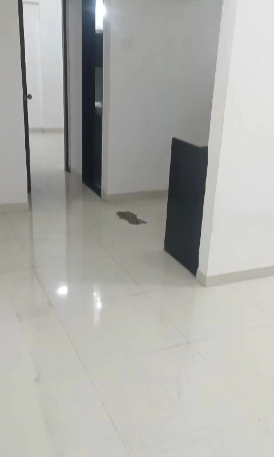 1 BHK Flat for Rent in Jawahar Nagar,Road No14, Goregaon West