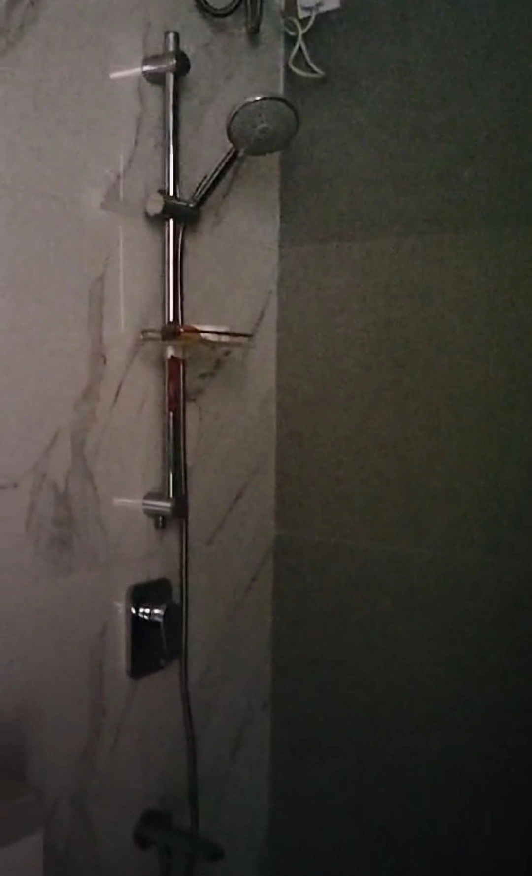 2.5 BHK Flat for Rent in Anmol Fortune Tower, Goregaon West