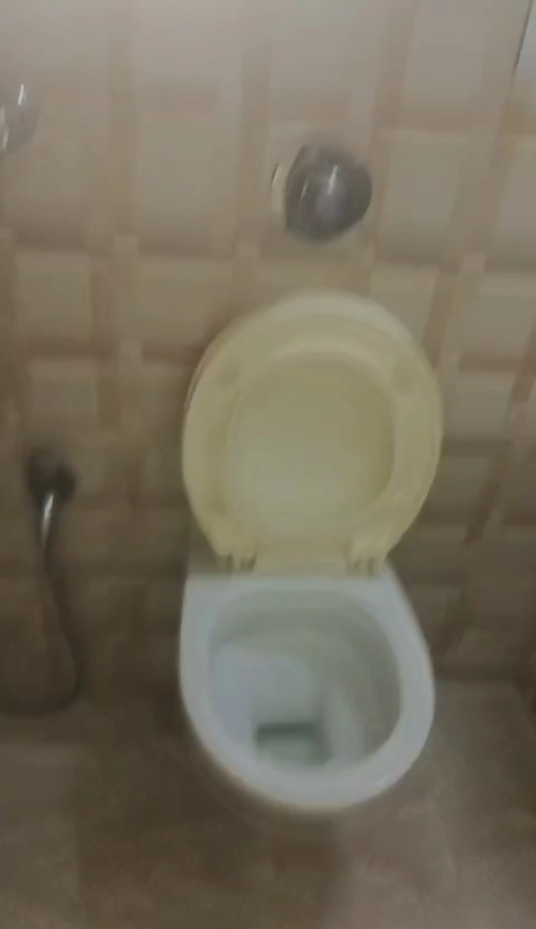 1 BHK Flat for Rent in Shiv Gauri Complex, Malad West