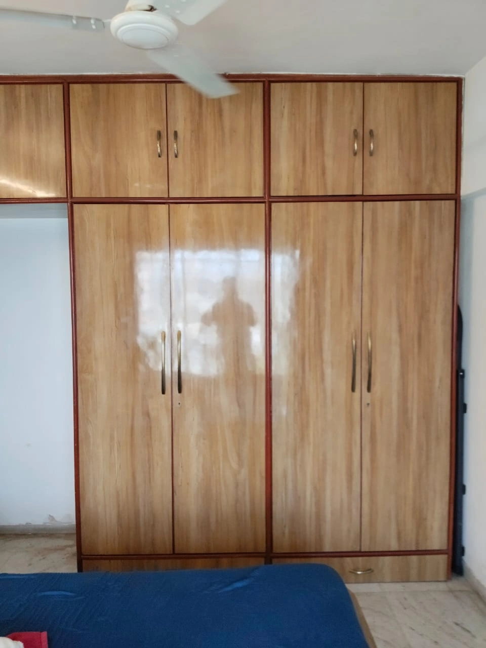 1 BHK Flat for Rent in Acme Enclave Complex, Malad West