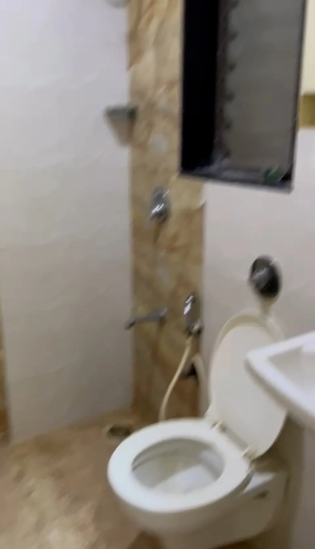 2 BHK Flat for Rent in Sethia Green View , Goregaon West