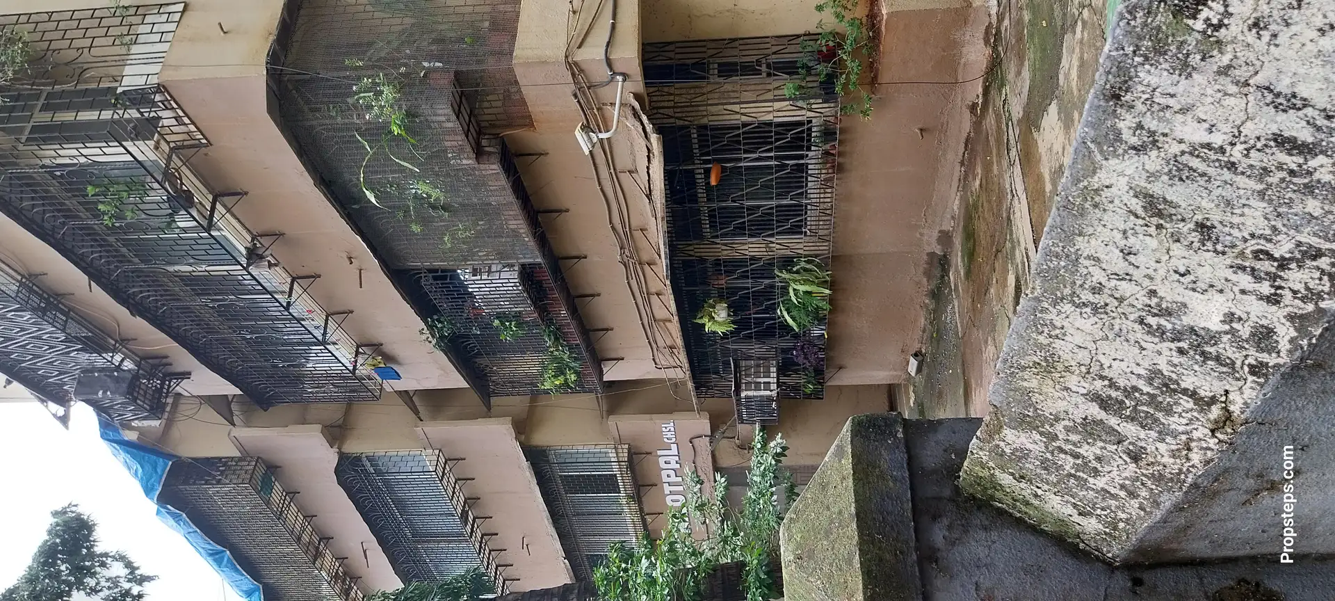 1 BHK Flat for Rent in Good Luck Society, Goregaon West