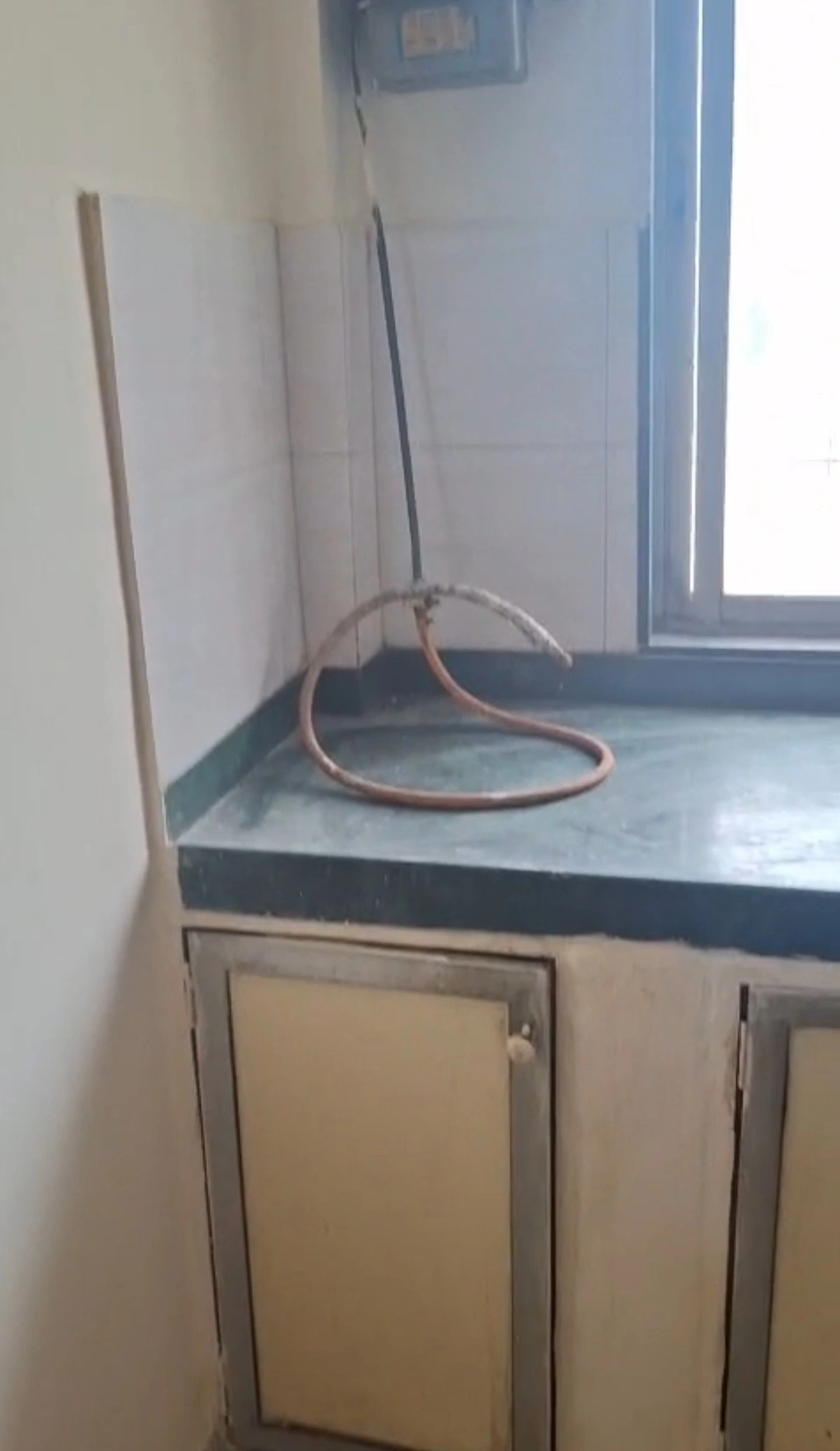 1 BHK Flat for Rent in Nirlon Society, Malad West