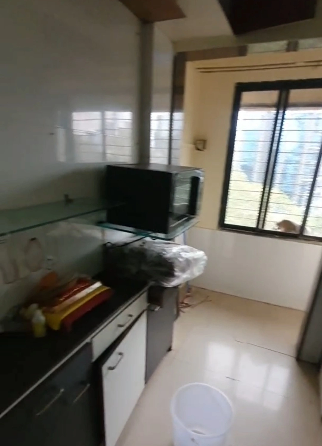 1 BHK Flat for Rent in Kingstone Classic Complex, Malad West