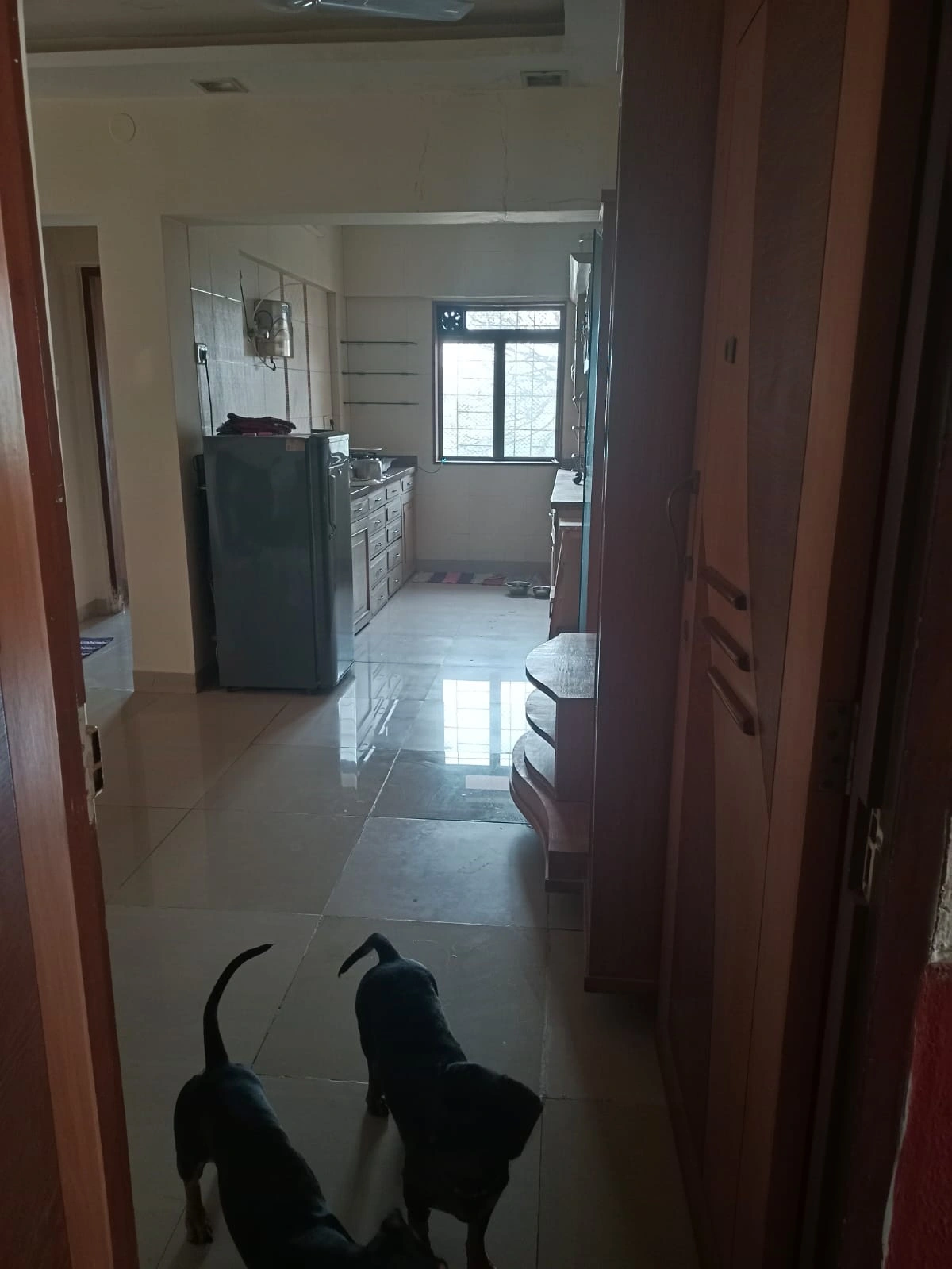 1 BHK Flat for Rent in Mari Gold Society, Goregaon East