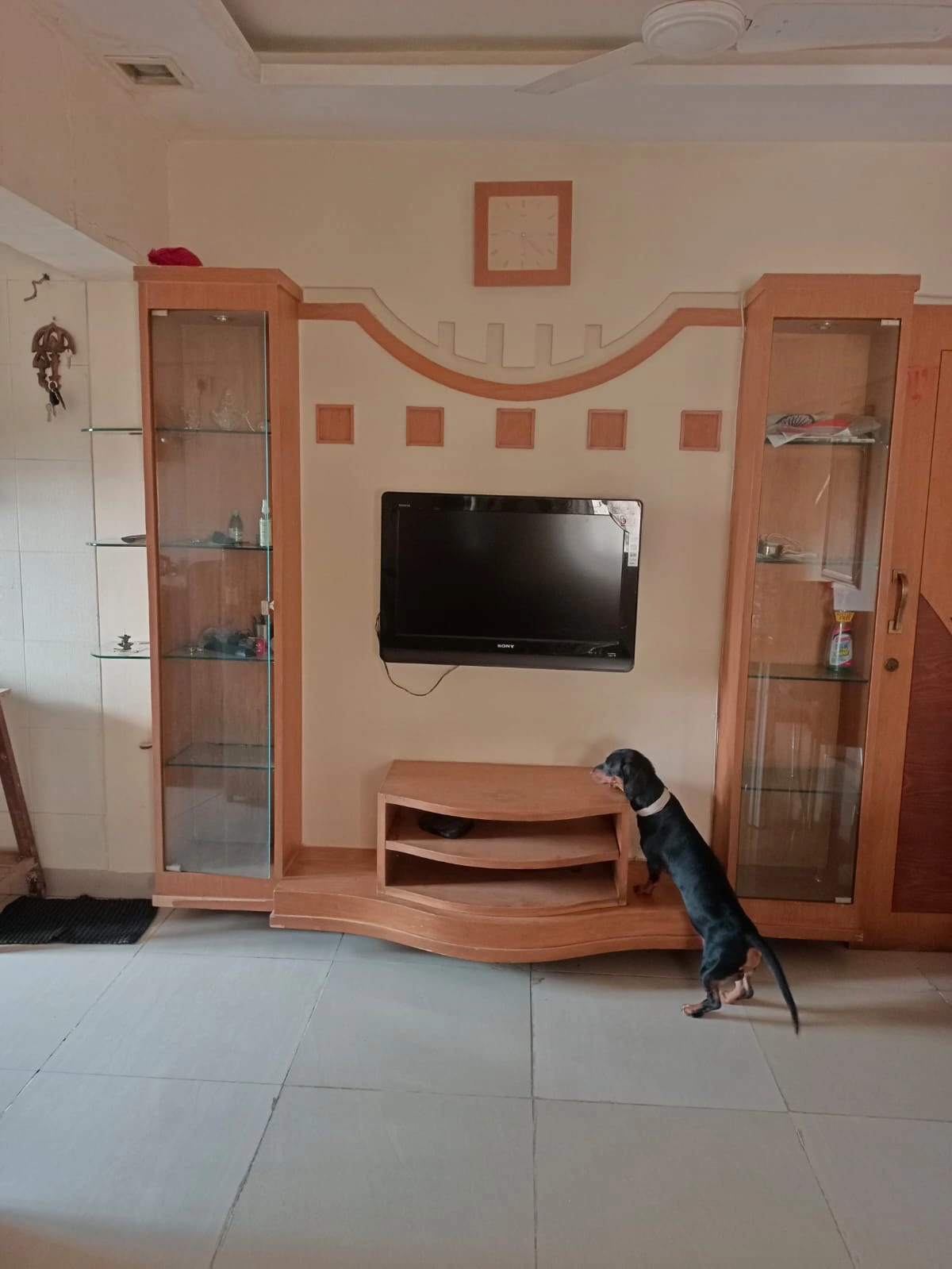 1 BHK Flat for Rent in Mari Gold Complex, Goregaon East
