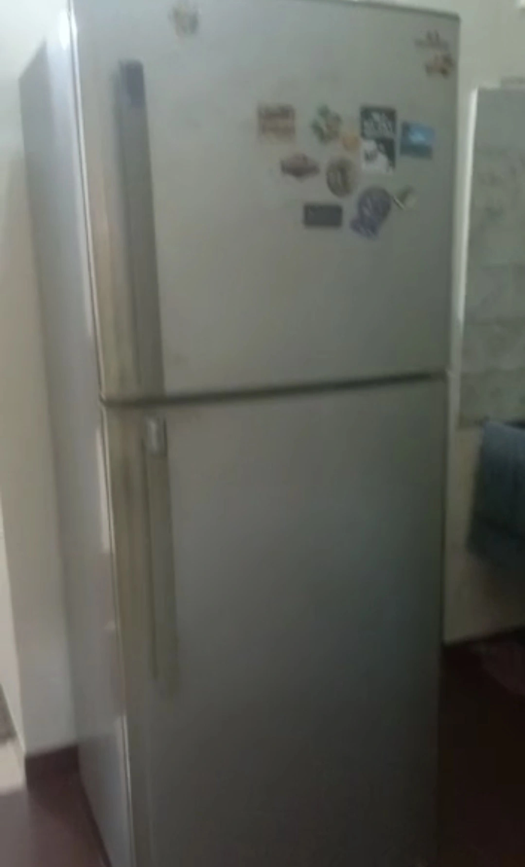 1RK Flat for Rent in Sai Samarth , Malad West