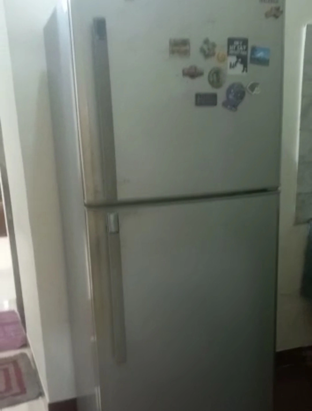 1RK Flat for Rent in Sai Samarth, Malad West