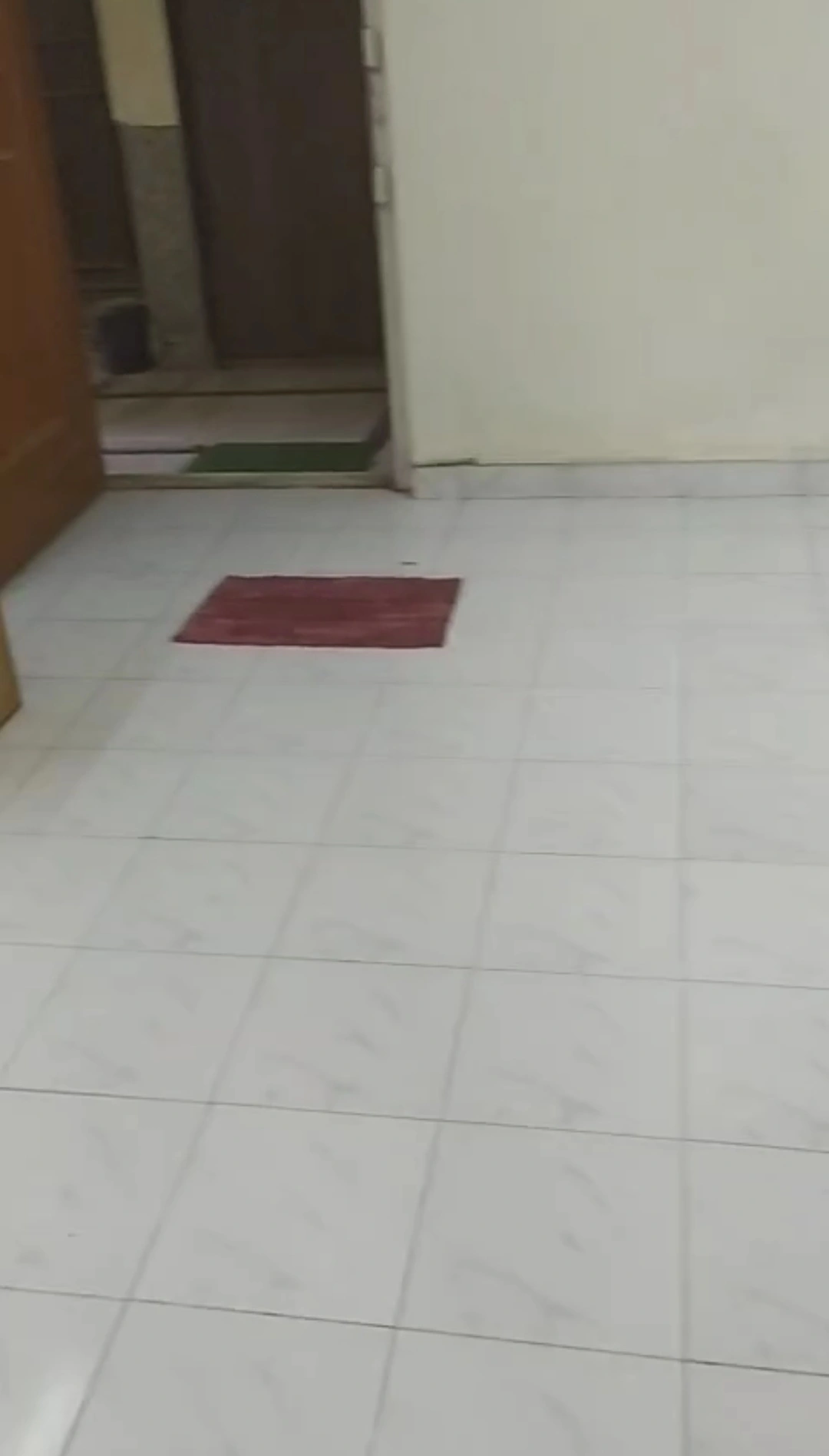 1RK Flat for Rent in Ahimsa Dham Society, Malad West