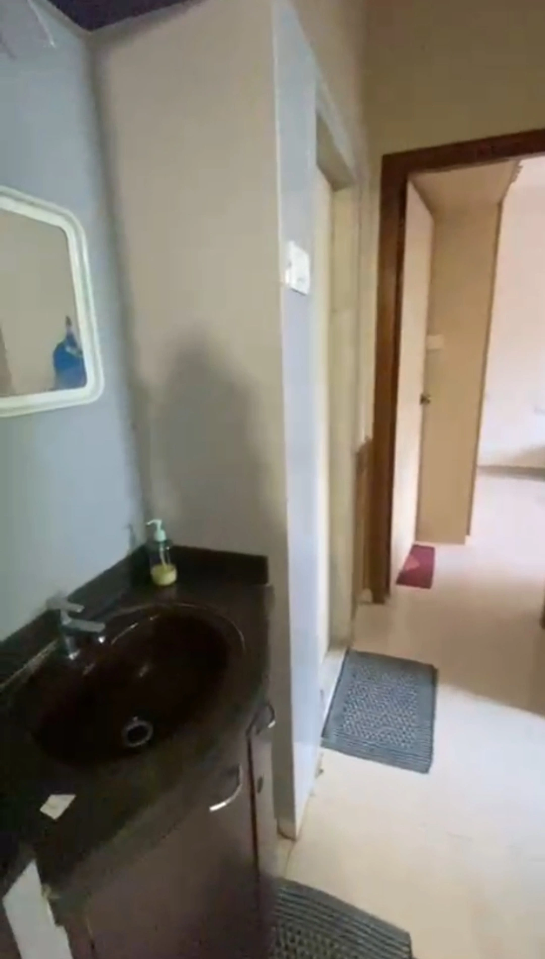 1 BHK Flat for Rent in Bhoomi Classic, Malad West