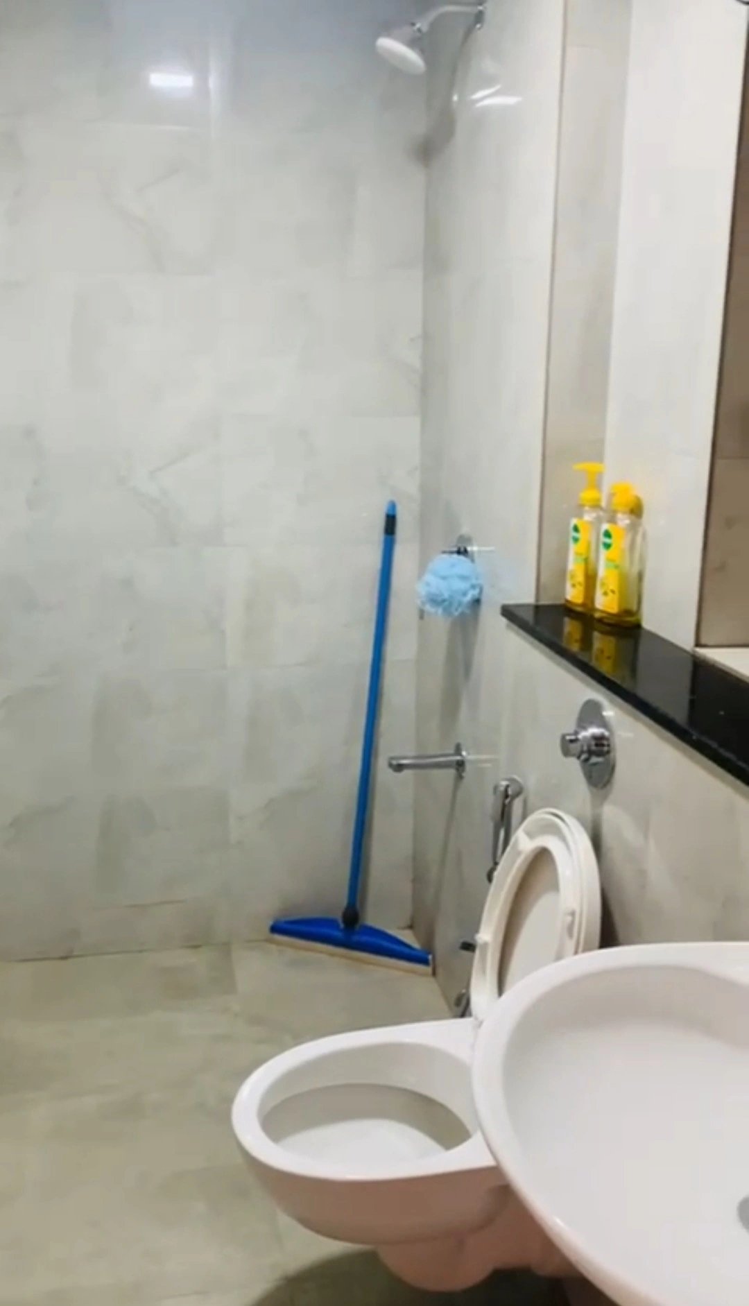 2 BHK Flat for Rent in Sheth Irene Tower, Malad West