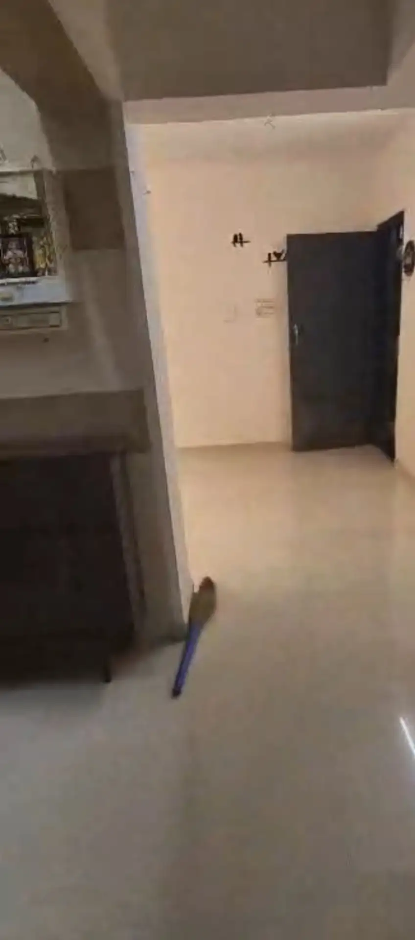 2 BHK Flat for Rent in Prabhat Tower, Goregaon West