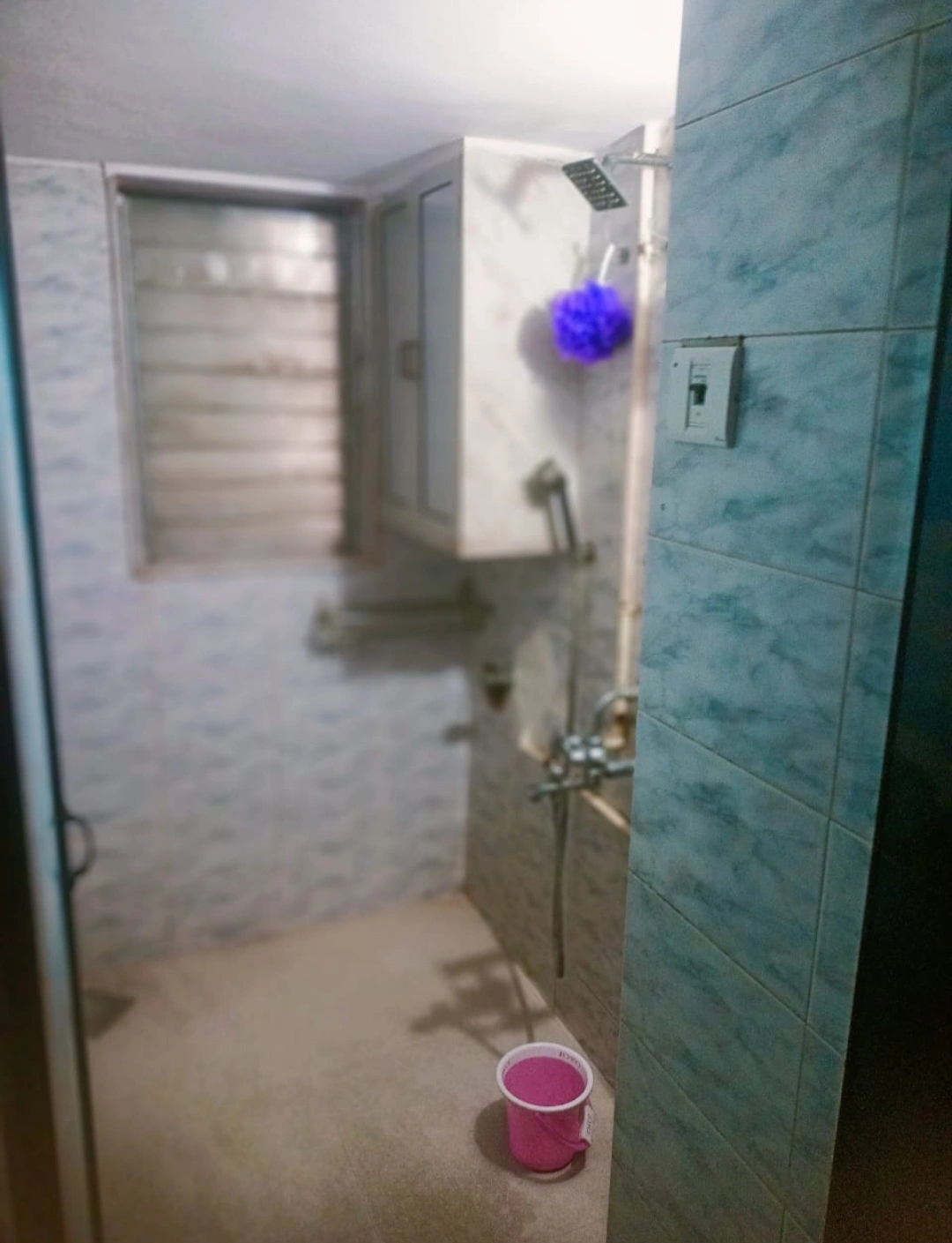 1 BHK Flat for Rent in Ahimsa Dham Society, Malad West