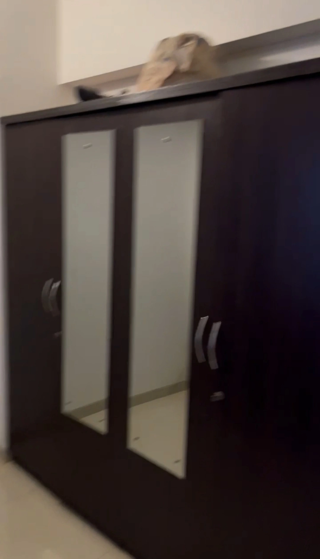 2 BHK Flat for Rent in Galaxy Heights, Goregaon West