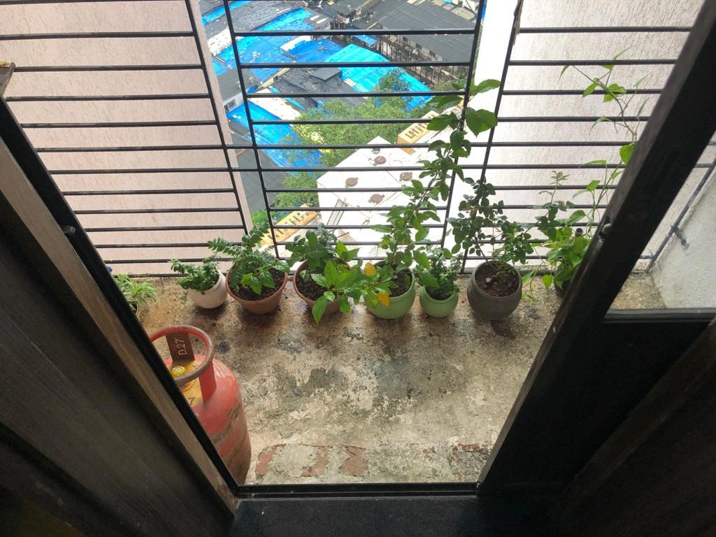 2 BHK Flat for Sale in sethia link view, Goregaon West