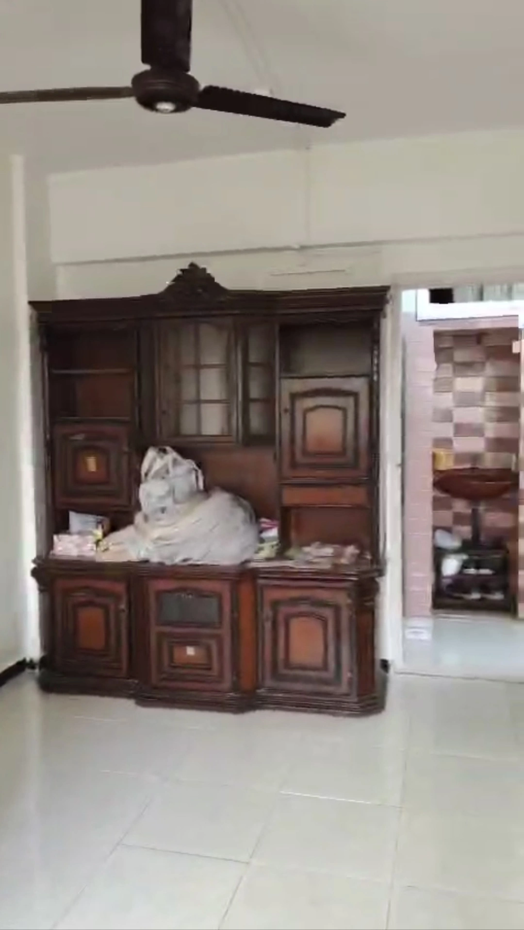 1 BHK Flat for Rent in jay Shreedhan Society, Goregaon West